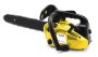 Sterwins Petrol Chainsaw 25.4CC 25CM