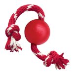 KONG Red Ball With Red And White Rope Small Waggs Pet Shop