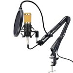 Pro Recording & Broadcasting Microphone