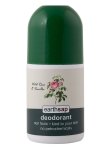 Wild Rose & Vanilla Roll-on Deodorant