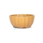 Japanese Kii Glazed Containers - Large 150 W X 70MM H