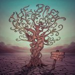 Shake The Tree Cd