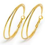 Goldair Gold Tone Double Hoop Earrings