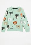 PoP Candy Printed Sweat Top - Sage Green
