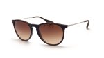 Ray Ban RB4171 Erika
