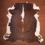 Aa Grade Nguni Hide 173 Brown/white XL - Extra Large / Brown/white / Panelled