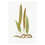 Gathering Green 14 Art Print