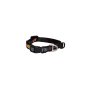 Rogz Fancy Dress Dog Collar Classic - Multi Bone