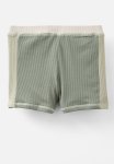 Cotton On Billy Boyleg Swim Trunk - Swag Green rib Stripe Panel
