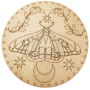 Moth & Moon Tarot Card Of The Day Board