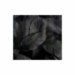 Decorative Glass Wall Tile 598MM X 650MM Feathers