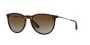 Erika RB4171 710/T5 54 Polarized Sunglasses