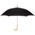 Black Auto Stick Umbrella