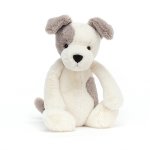 Bashful Terrier By