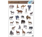 Wild Animals Poster