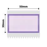 NB731 - - B1 B21 B3S B4 - 50X30MM - 230 Purple Border Labels