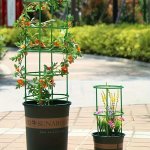 6 12PCS SET Versatile Plant Support Stakes Durable Half-round Plastic Trellises For Climbing Flowers & Vegetables Ideal For Indo