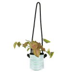 Hanging Green Stripy Planter - Small