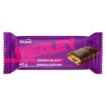 Medley Berry Blast Granola & Oats Bar 40G