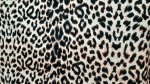 Polly Cotton Africa