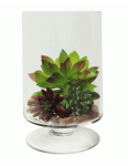 Footed Cylinder 34CM H X 20CM W