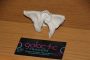 Galactic White Bratz Bolero Traders