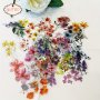 Gutbd 50PCS Transparent Floral Stickers - Reusable Matte Finish For Diy Journals Laptops Skateboards & More - Assorted Colors