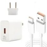66W Type C Cable + Adaptor Charger