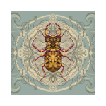 Arthropods Stag Beetle Art Print - 30CM X 30CM Fine Art Print