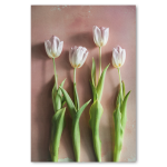 Watercolour Wash Tulips 4 - A4 Framed Canvas With Natural Wood Frame