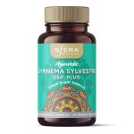 Gymnema Sylvestre - Blood Sugar Support 60 Capsules