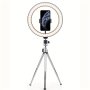 1PC 25.4CM Ring Fill Light With Adjustable Tripod Stand & Phone Holder LED Selfie Circle Light For Tiktok Youtube Zoom Photography Makeup Live Stream