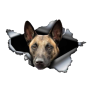 Belgian Malinois 3D Car Sticker Decal