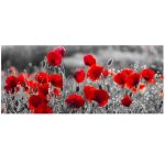 Red Poppies Black And White Colour Splash Art Photography Wall Canvas Print 1300 X 550