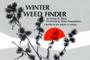 Winter Weed Finder - A Guide To Dry Plants In Winter   Paperback