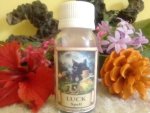 Luck Spell Bottle jar N35