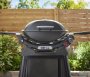 Weber Q2800N+ With Premium Cart 1501144