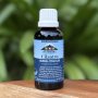 Waterberg Organics – Cilantro Tincture