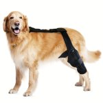 Dog Knee Brace Support Adjustable Pet Leg Protector Wrap For Joint Pain Relief Post Surgery Recovery Arthritis Prevention Durabl