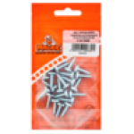 Self Taping Screw 5.0 X 16MM 30 Piece