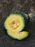 Squash Grn Hubbard Chicago Seed - 100 G Raw Seed