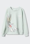 Sweatshirt Bugs - Pastel Green