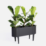 Emerging Creatives Orian Floor Planter