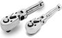 Flex Stubby Ratchet Set 1/4 And 3/8 Inch Drive