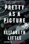 Pretty As A Picture - A Novel   Hardcover