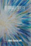 Illuminated Universe: A View From The Source