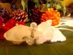 Clear Quartz Wand