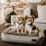 Urban Bolster Bed