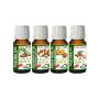 Normal Skin Face Oils | CARRIER OILS MINI Collection