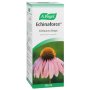 A Vogel Echinaforce 100ML